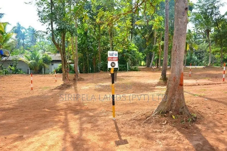 Land for Sale - Pothuhera TR 006