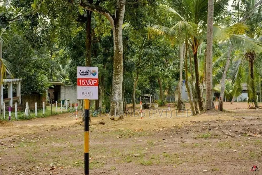 Land For Sale in Pothuhhera - H01