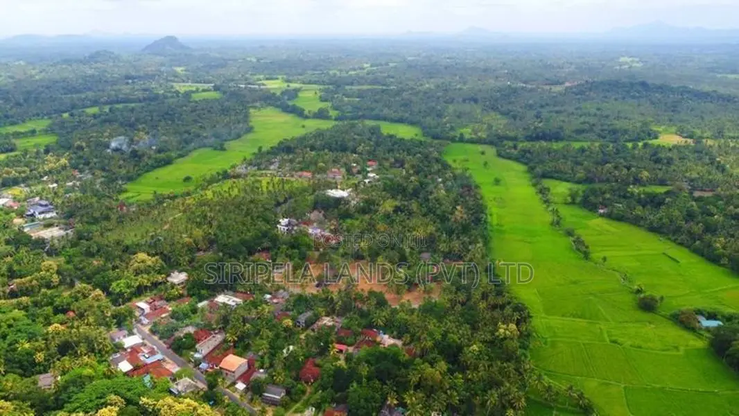 Land for Sale - Pothuhera TR003
