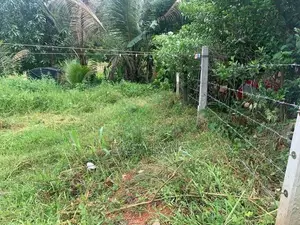 ආටිගල - මීගොඩ පාරට ඇවිදයන දුරින් අගනා බිම් කොටසක්