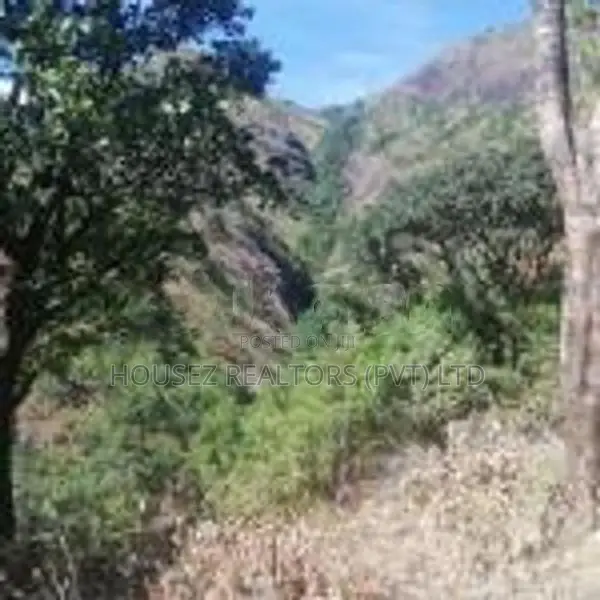 Beautiful Land for Sale – Belihuloya