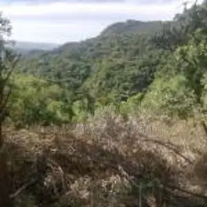 Beautiful Land for Sale – Belihuloya