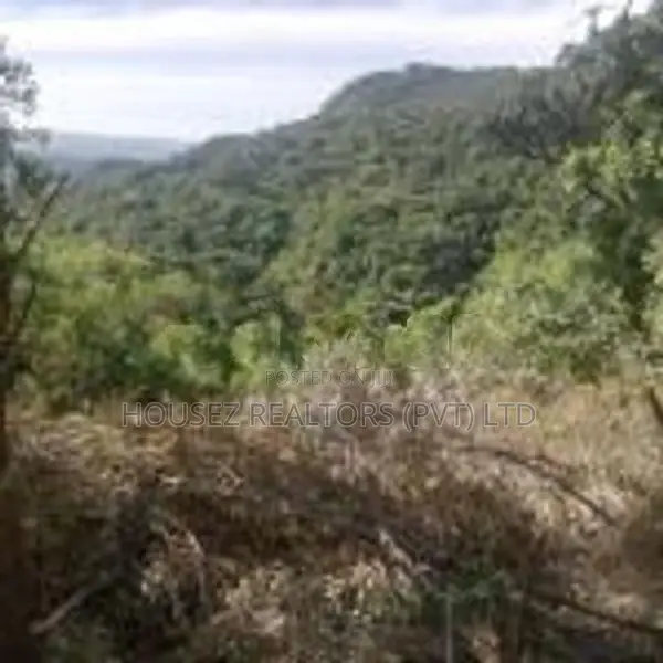 Beautiful Land for Sale – Belihuloya