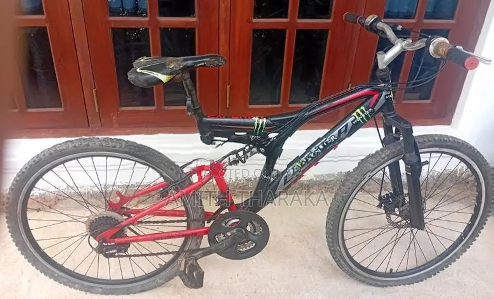 Lumala Bicycle