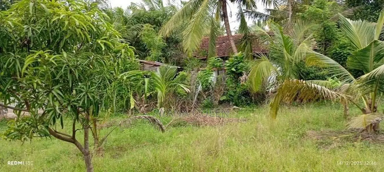Land for Sale Addalaichenai