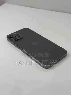 Apple iPhone 12 Pro 256GB (Used)