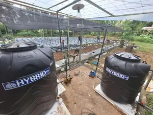 240p Agricultural Land with 10,000 Sqft Net Houses – Minuwangoda