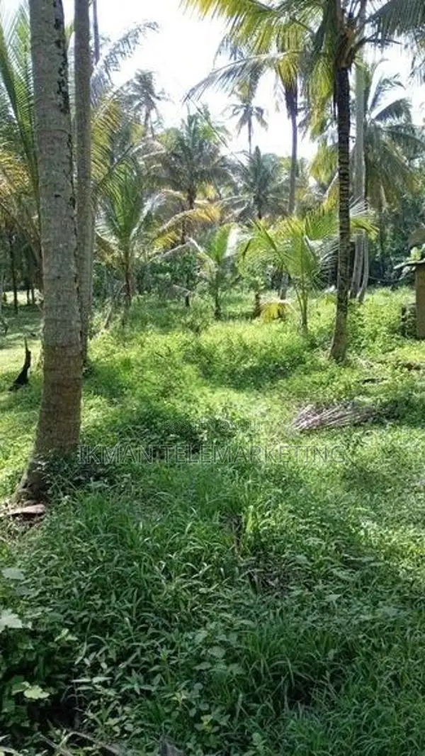 Land for Sale in Ibbagamuwa