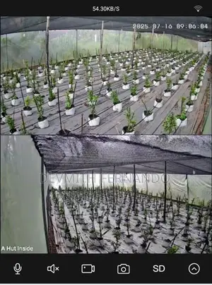 240p Agricultural Land with 10,000 Sqft Net Houses – Minuwangoda