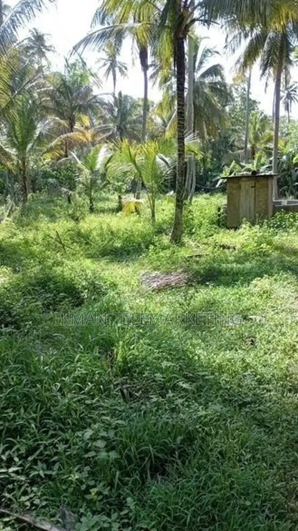 Land for Sale in Ibbagamuwa
