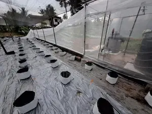 240p Agricultural Land with 10,000 Sqft Net Houses – Minuwangoda