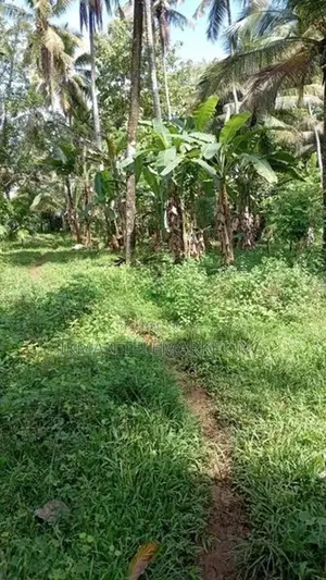 Land for Sale in Ibbagamuwa