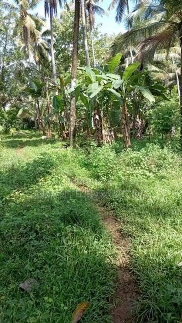 Land for Sale in Ibbagamuwa