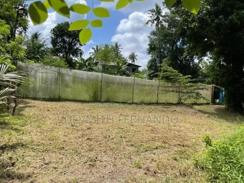 240p Agricultural Land with 10,000 Sqft Net Houses – Minuwangoda