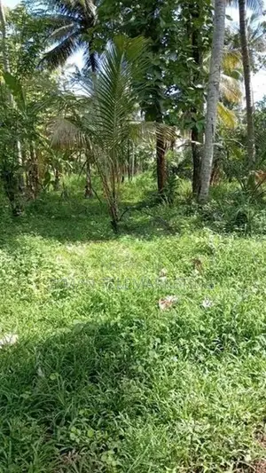 Land for Sale in Ibbagamuwa