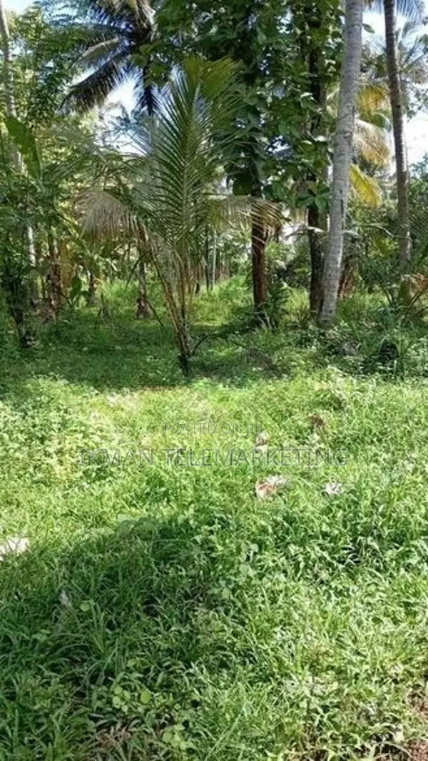 Land for Sale in Ibbagamuwa