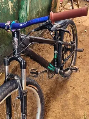 වීල් ගහන බයික් එකක්