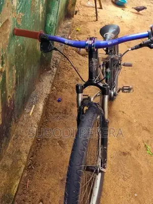 වීල් ගහන බයික් එකක්
