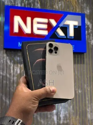 Apple iPhone 12 Pro 256GB (Used)