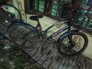 24 Inch Lumala Bicycle