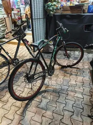 29 Inch Mountain Bicycle