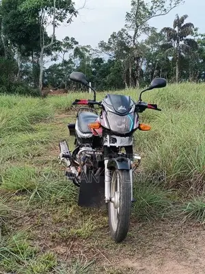 TVS Streak 2010