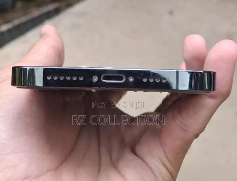 Apple iPhone 13 Pro Max (Used)