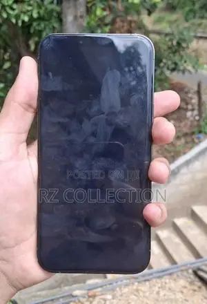 Apple iPhone 13 Pro Max (Used)