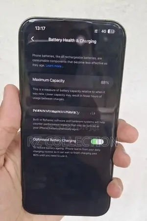 Apple iPhone 13 Pro Max (Used)