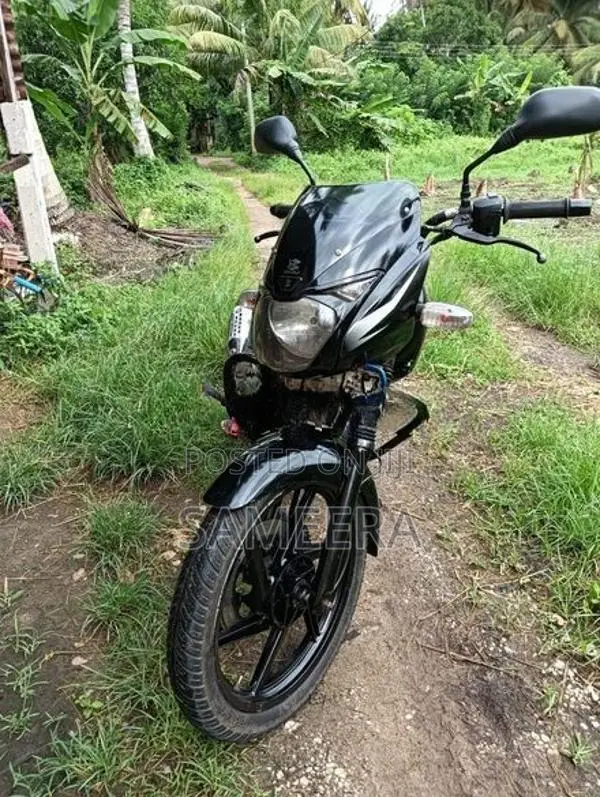 Bajaj Pulsar 150 2007