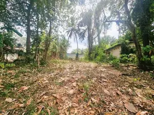 මිනුවන්ගොඩ නගරසභා සීමාවෙන් වටිනා නේවාසික ඉඩමක්