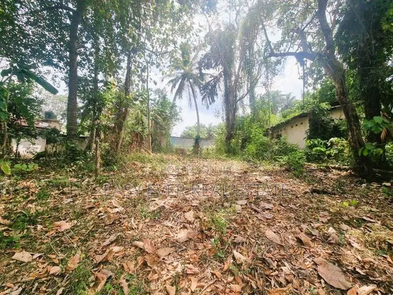 මිනුවන්ගොඩ නගරසභා සීමාවෙන් වටිනා නේවාසික ඉඩමක්