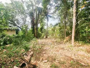 මිනුවන්ගොඩ නගරසභා සීමාවෙන් වටිනා නේවාසික ඉඩමක්