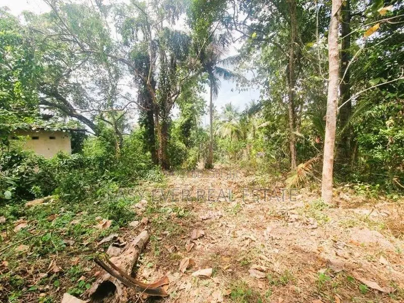 මිනුවන්ගොඩ නගරසභා සීමාවෙන් වටිනා නේවාසික ඉඩමක්