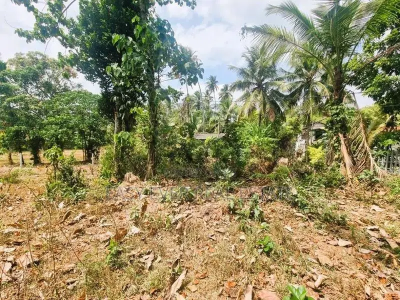 මිනුවන්ගොඩ නගරසභා සීමාවෙන් වටිනා නේවාසික ඉඩමක්