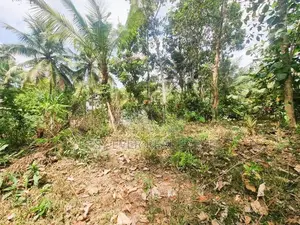 මිනුවන්ගොඩ නගරසභා සීමාවෙන් වටිනා නේවාසික ඉඩමක්