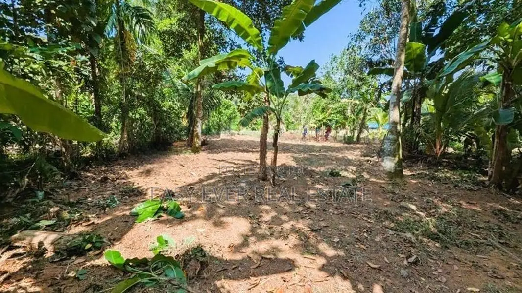 කිරිඳිවැලෙන් වටිනා ඉඩමක්