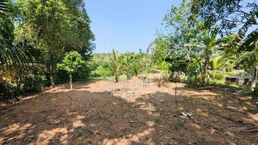 කිරිඳිවැලෙන් වටිනා ඉඩමක්