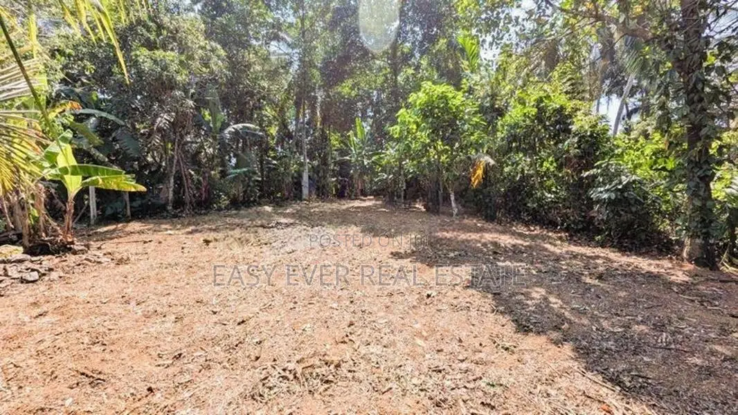 කිරිඳිවැලෙන් වටිනා ඉඩමක්