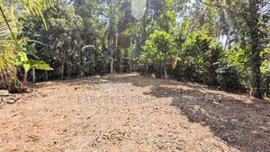 කිරිඳිවැලෙන් වටිනා ඉඩමක්