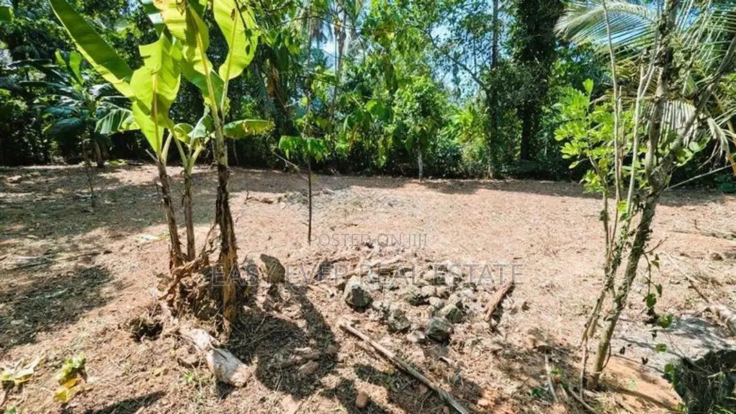 කිරිඳිවැලෙන් වටිනා ඉඩමක්