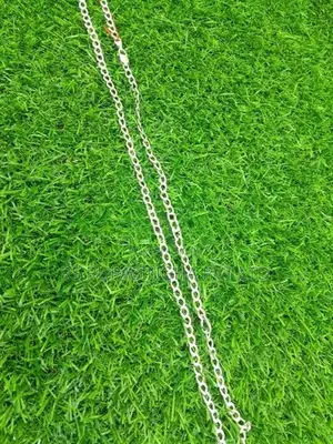 Silver Chain