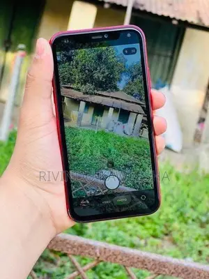 Apple iPhone 11 (Used)