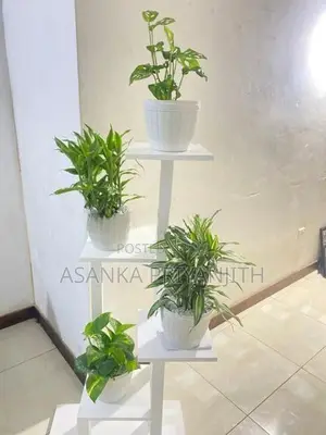 Indoor Plant Stand