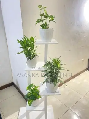 Indoor Plant Stand