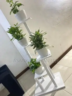 Indoor Plant Stand