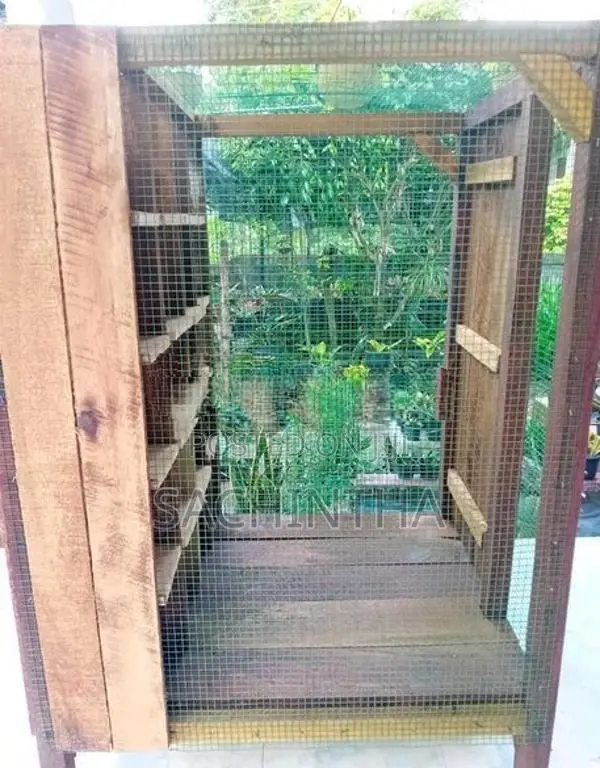 පරවි කූඩුවක්