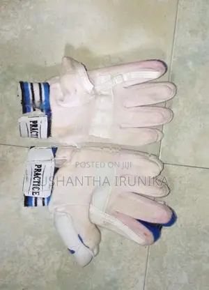 Cricket Equipment Set