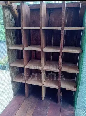 පරවි කූඩුවක්