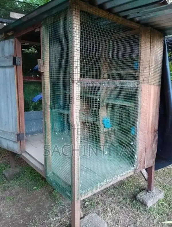 පරවි කූඩුවක්